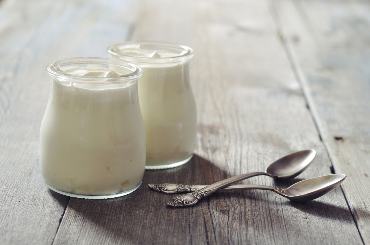 yogurt probiotici, alimento fermentato