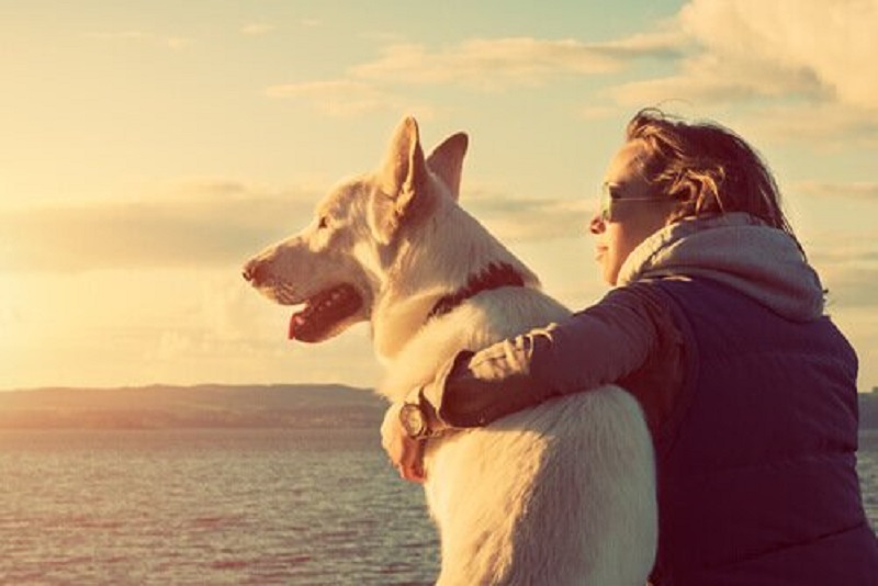 Amore verso il proprio cane dipende dall'ossiticina