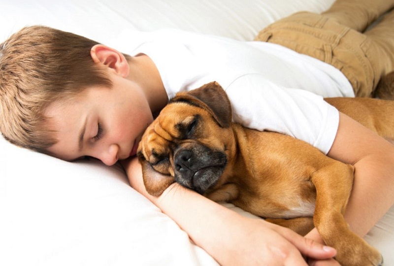 cuccioli di animali trattati come fratelli o figlioli