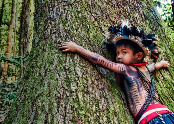 Amazzonia, il progetto degli indigeni per salvare la foresta presentato all'Onu