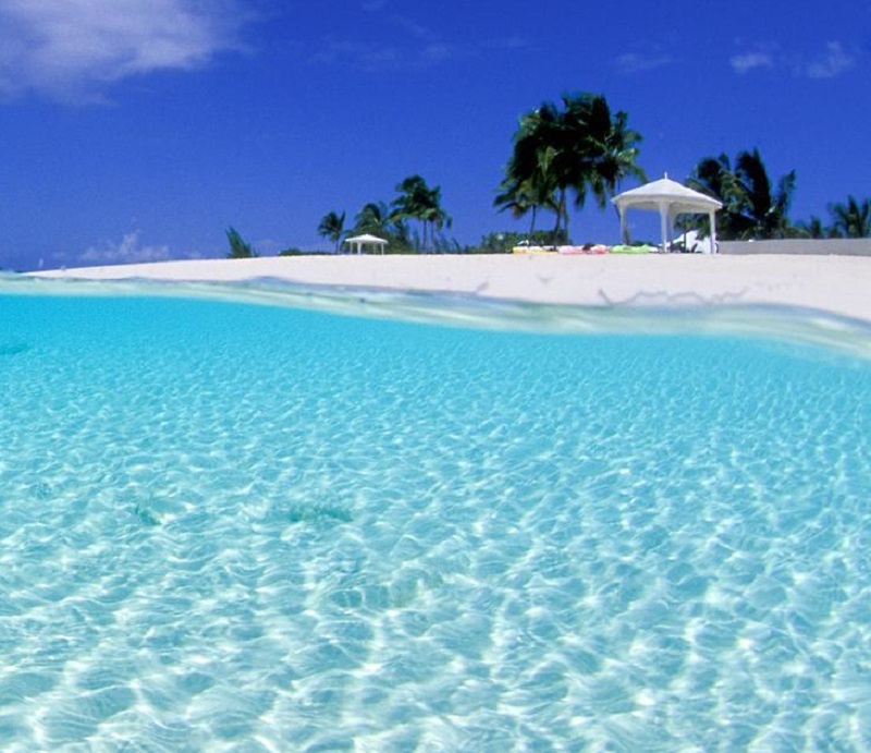 Gran Bahama, Bahamas (spiaggia pericolosa per attacco di squali tigre)