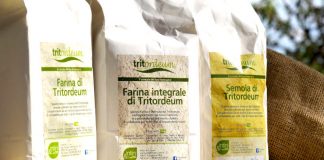 Tritordeum, 3 ricette con il cereale del futuro