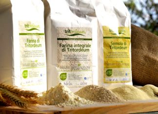 Tritordeum, 3 ricette con il cereale del futuro