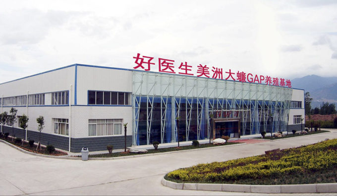 fabbrica di scarafaggi in Cina