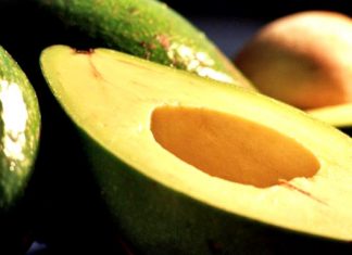 3 trucchi sperimentati per far maturare l'avocado in poche ore