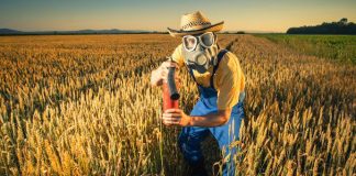 La pasta fa male? Tutta colpa del grano (importato) contaminato da pesticidi