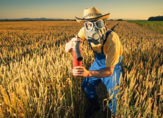 La pasta fa male? Tutta colpa del grano (importato) contaminato da pesticidi