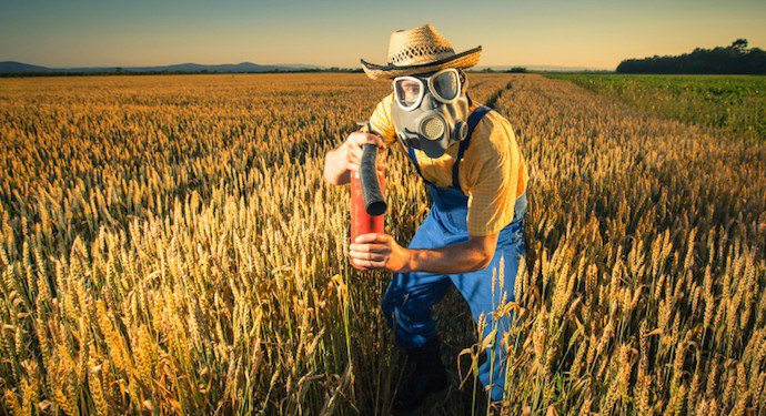 La pasta fa male? Tutta colpa del grano (importato) contaminato da pesticidi