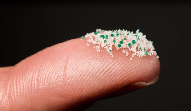 Microplastiche in cibi e bevande: ecco come ci stiamo lentamente avvelenando