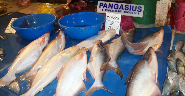 pesce pangasio del Vietnam