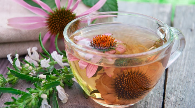 tisana anti influenza all'echinacea