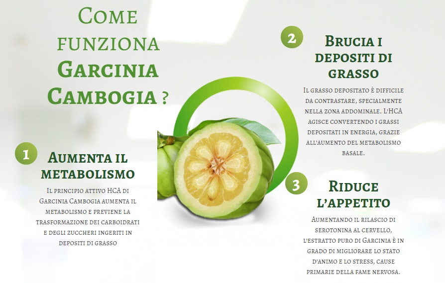 Garcinia Cambogia benefici