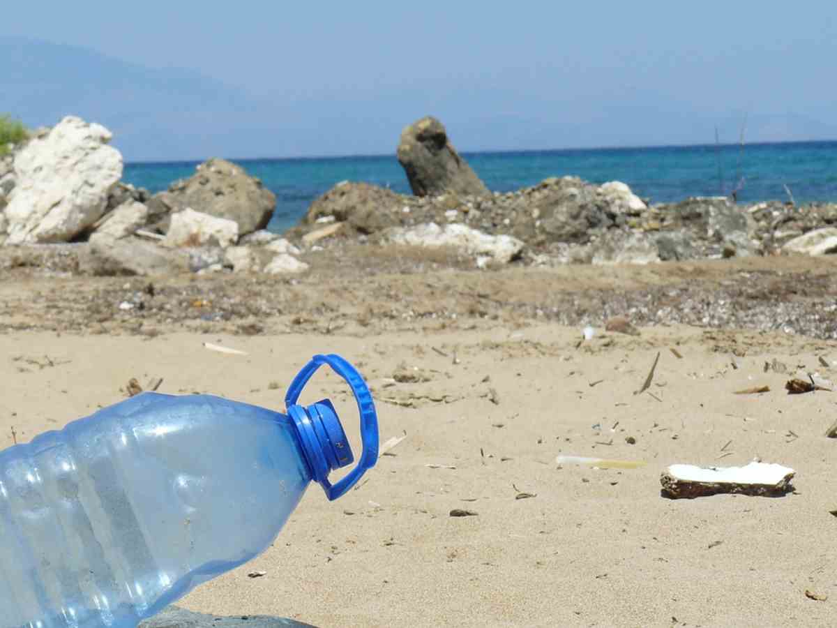 plastica sulla spiaggia della Pelosa (Sardegna)
