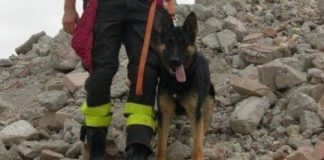 Morto Falco, il cane eroe di Rigopiano