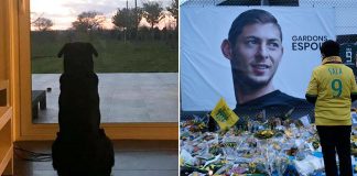 Il cane di Emiliano Sala lo sta ancora aspettando sull'uscio di casa