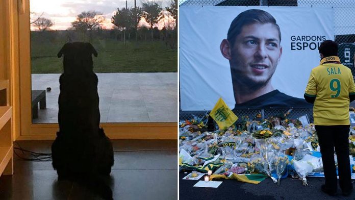 Il cane di Emiliano Sala lo sta ancora aspettando sull'uscio di casa