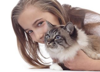 gatto aggressivo contro i padroni