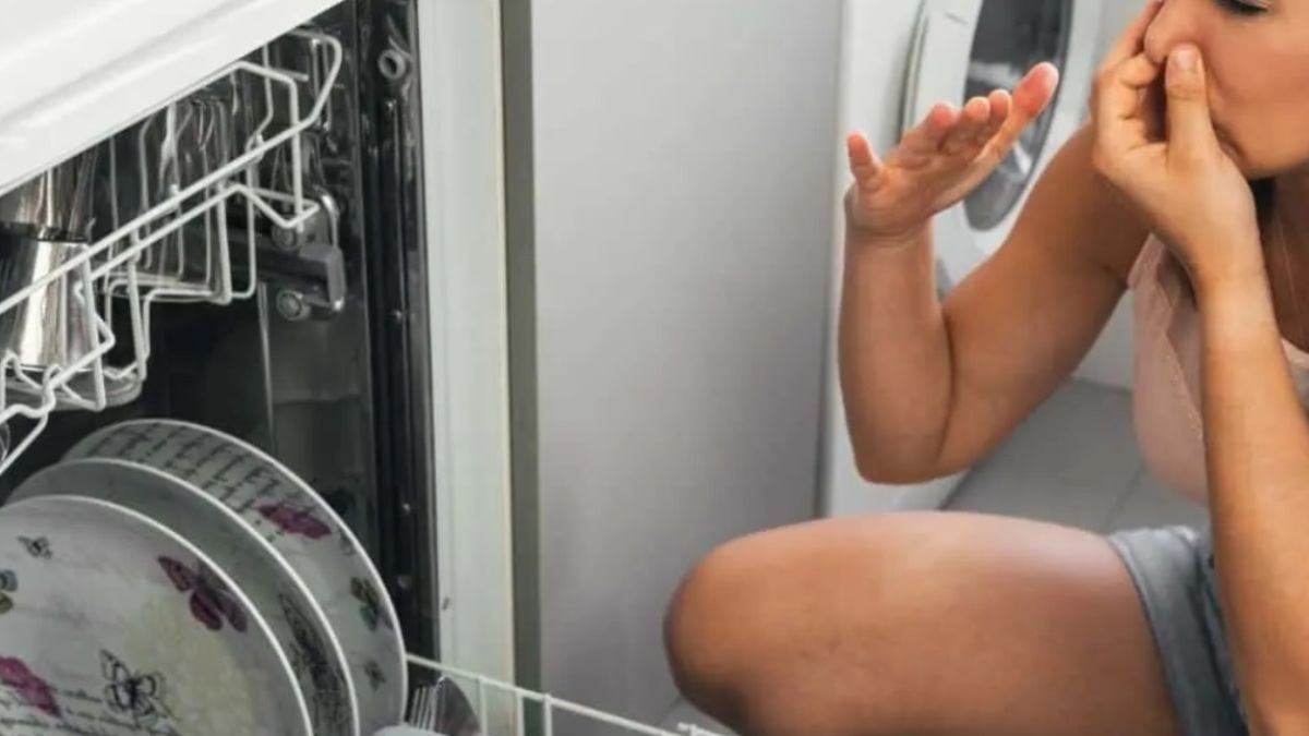 cattivi odori lavastoviglie