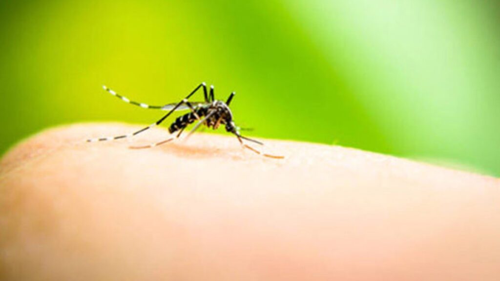 rimedi naturali contro zanzare