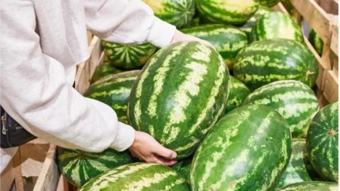 iStock-1488318564-kmOF-RyfRGCc5QFwvbXFoqH5aAAK-590x445@Corriere-Web-Sezioni anguria