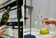 olio extravergine