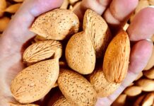 fertilizzanti bio gusci mandorla