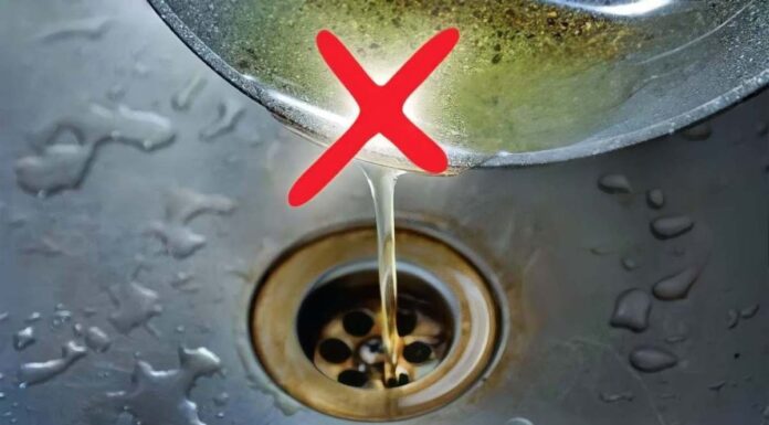 Butti olio e grasso nel lavandino della cucina? Perché non devi farlo