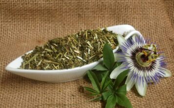 Rimedi naturali contro l’ansia, ecco la pianta alleata numero uno. Qual è e come utilizzarla