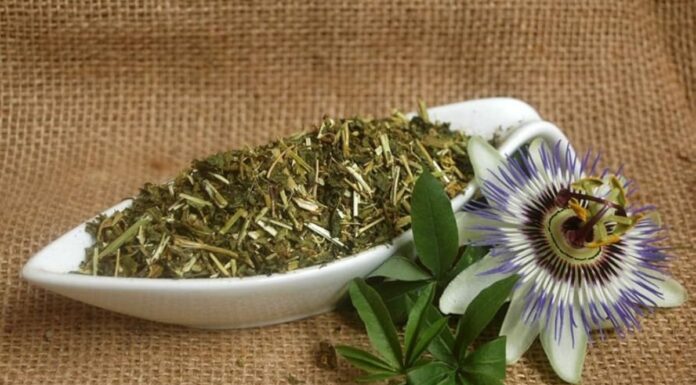 Rimedi naturali contro l’ansia, ecco la pianta alleata numero uno. Qual è e come utilizzarla
