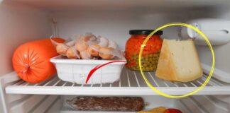 Come conservare il formaggio correttamente: il trucco che ti svolta