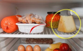 Come conservare il formaggio correttamente: il trucco che ti svolta