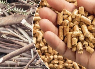 Arriva il primo pellet prodotto dagli sfalci dei giardini (e che salva gli alberi)
