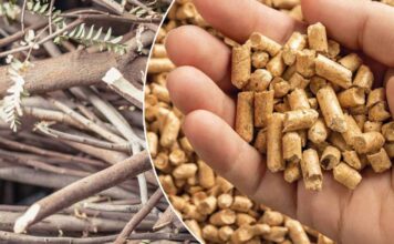 Arriva il primo pellet prodotto dagli sfalci dei giardini (e che salva gli alberi)