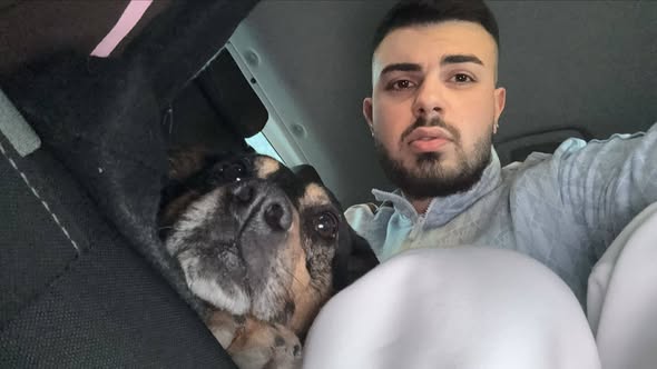 cane insegue ambulanza