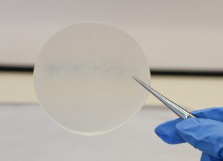 Creata una plastica naturale che deriva dal latte. La scoperta straordinaria: come funziona e come si biodegrada