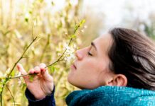 raffreddore o allergia differenza