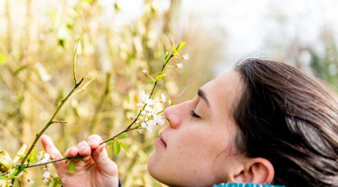 raffreddore o allergia differenza