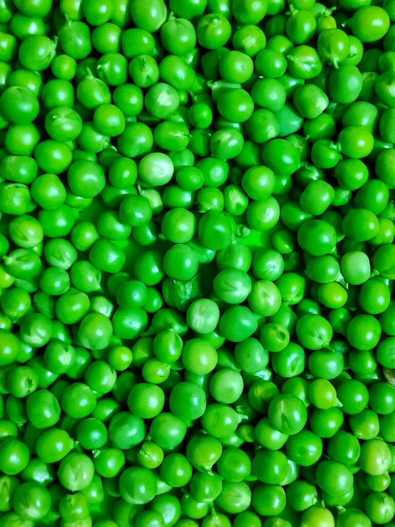 alimenti ricchi di magnesio