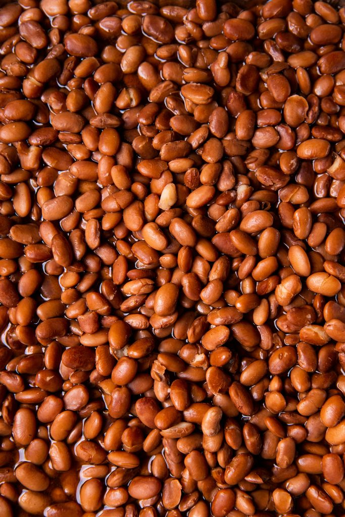 legumi in scatola